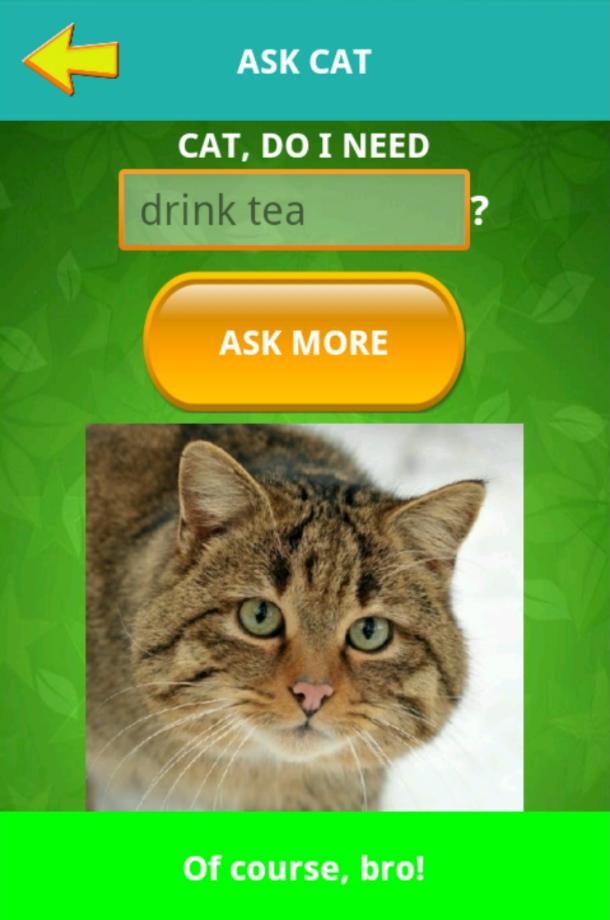 Ask cat helper simulator