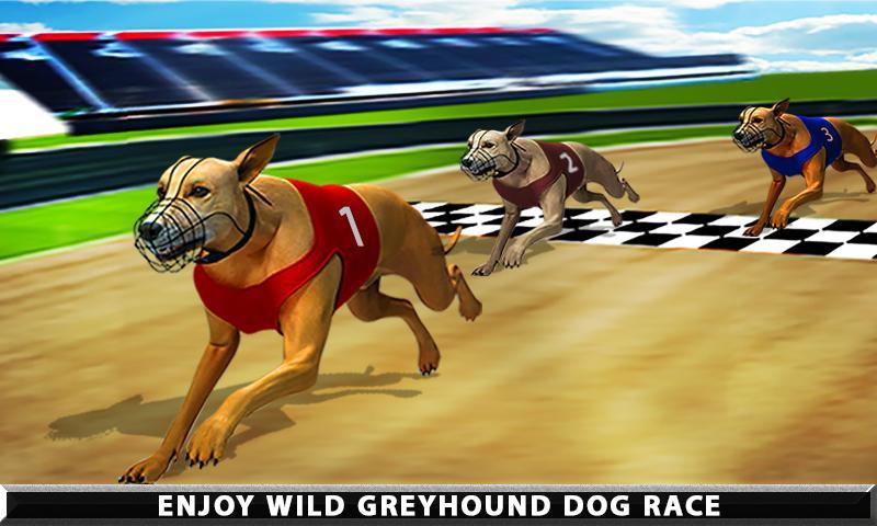 Wild Greyhound Dog Racing