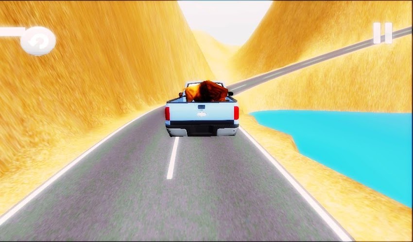 Pickup Load Carrying 3D